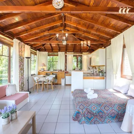 #maria And Cabin By Halu! Villas Lägenhet